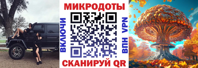 закладка  Бирюсинск  Псилоцибиновые грибы GOLDEN TEACHER 